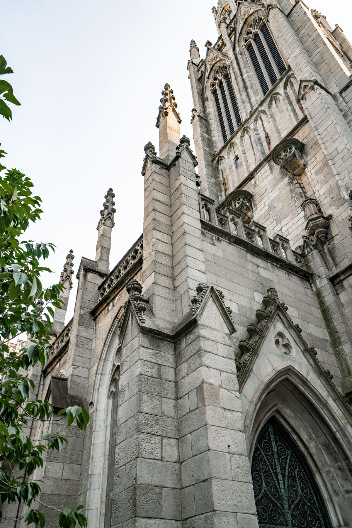 A gothic stone cathedral tower rises against the sky, seen from below with tree branches in the foreground.