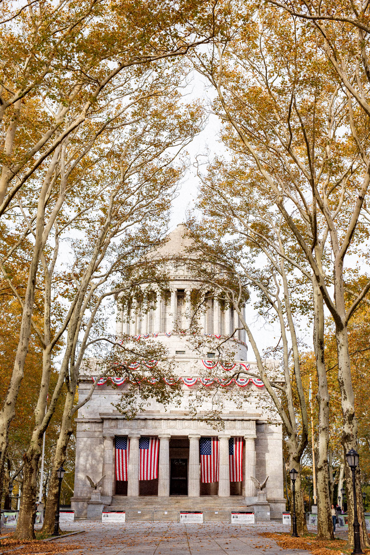 Grant's Tomb is framed by an arch of autumn trees with American flags on its columns.