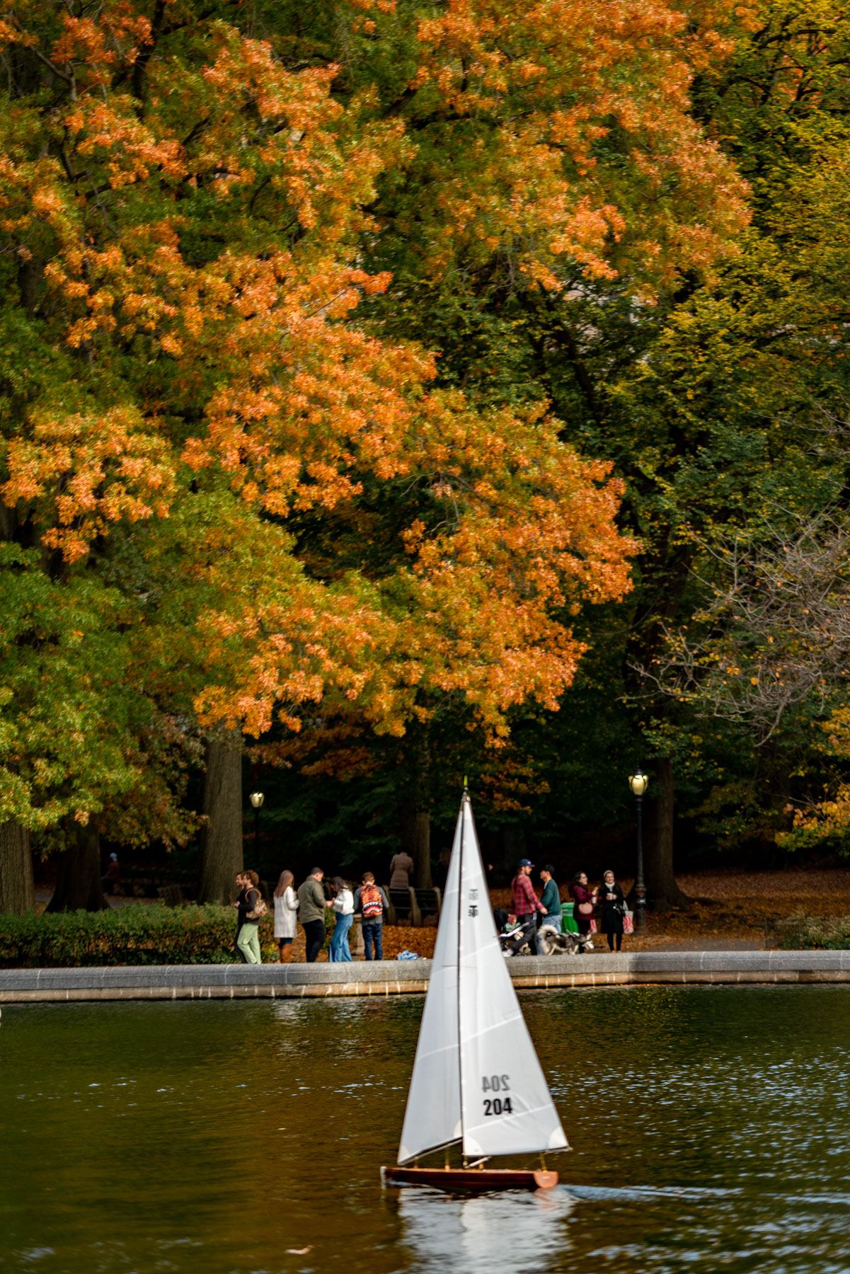 A model sailboat glides on the Conservatory Water pond as visitors gather beneath fall foliage in Central Park.