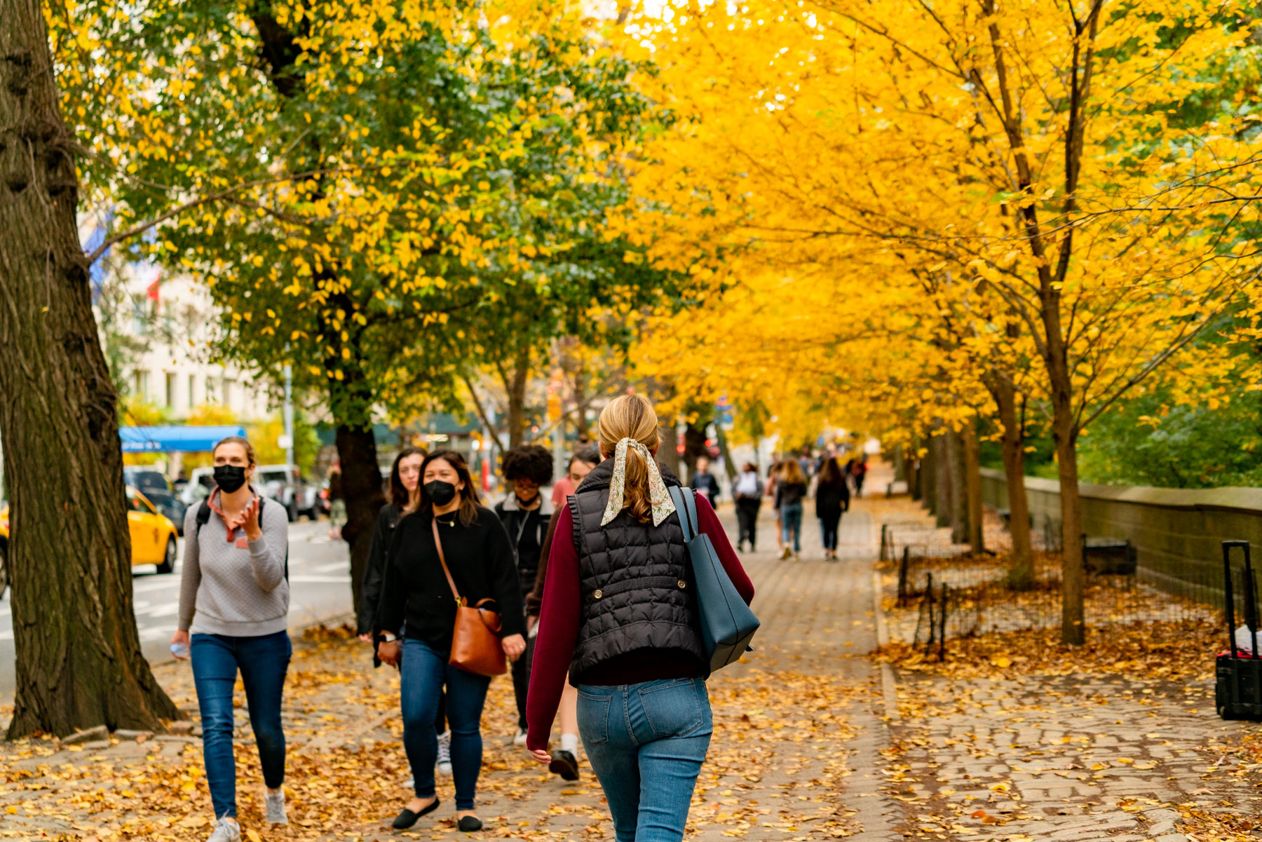 A tree-lined Manhattan sidewalk glowing bright yellow with peak fall foliage as people walk beneath