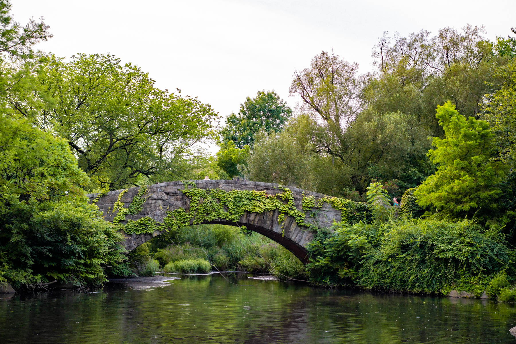 A stone arch bridge covered in vines crosses a pond in Central Park.
