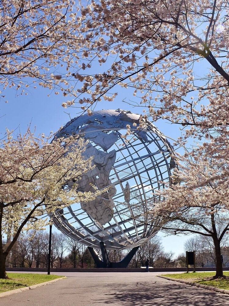 The Unisphere steel globe framed by blooming cherry trees in Flushing Meadows Corona Park, the Queens park where the US Open tennis center sits