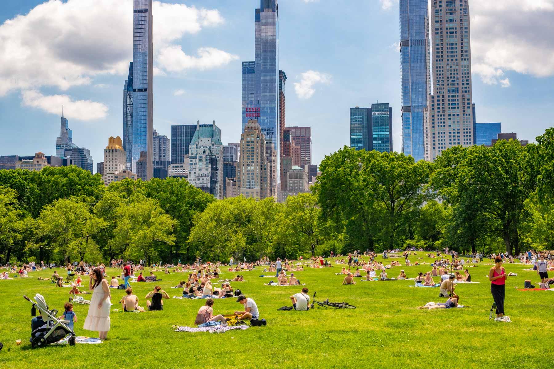 Crowds relax on the Sheep Meadow lawn in Central Park with the Midtown skyline behind them.