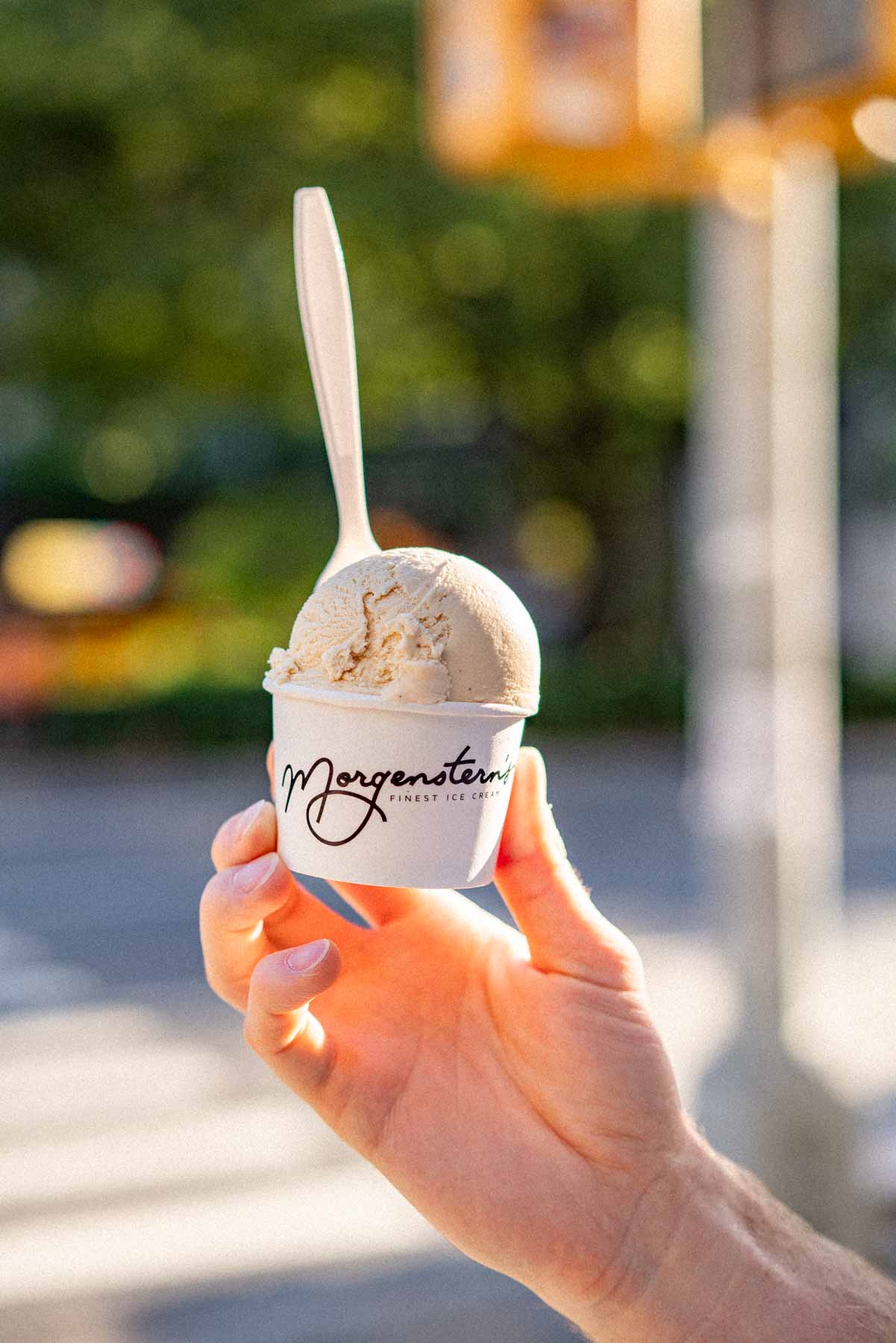 Morgenstern’s Finest Ice Cream