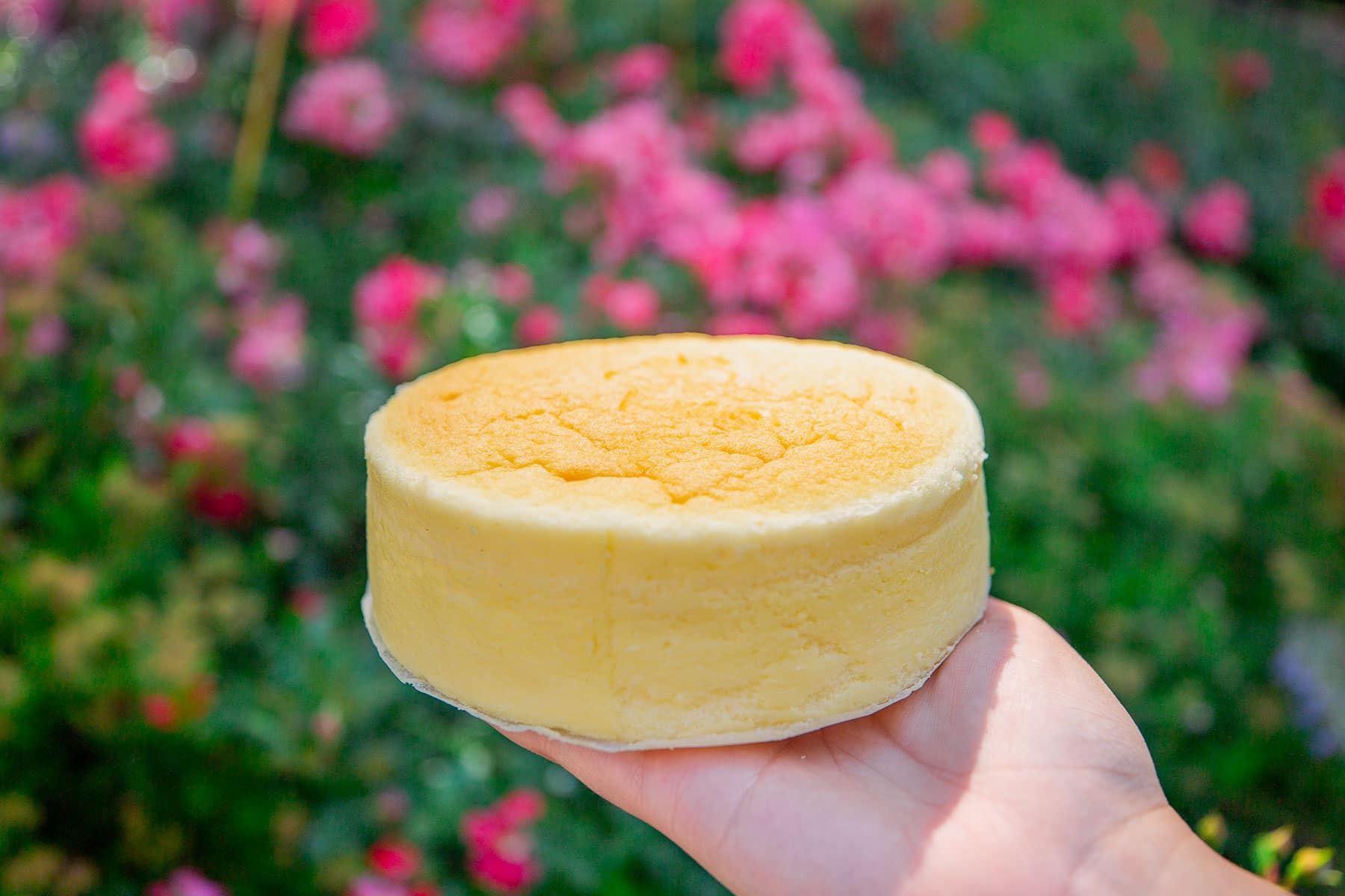S & S Cheesecakes