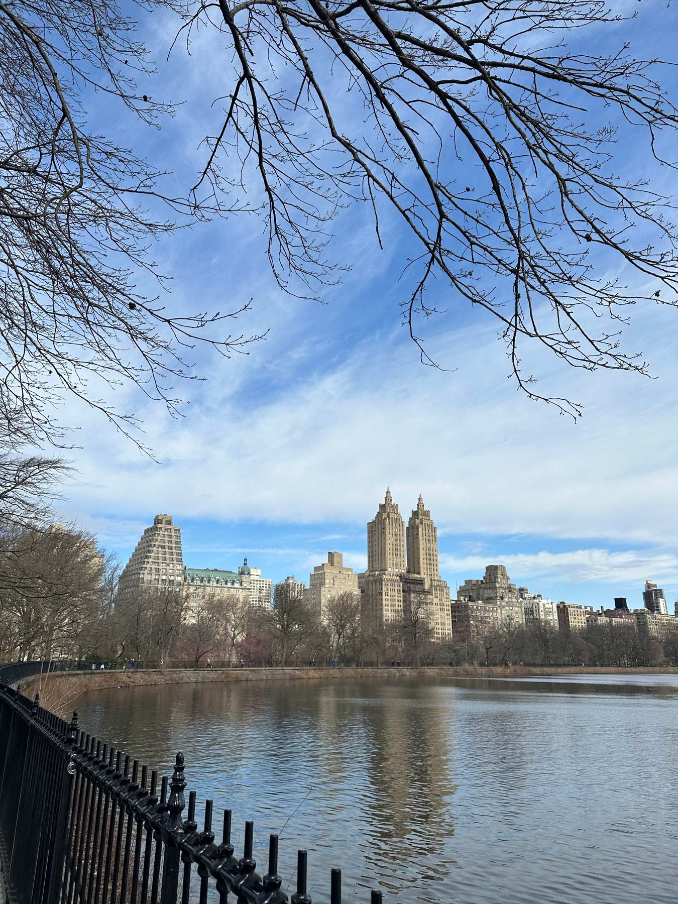 Bare tree branches frame a view of the Central Park Reservoir with the Eldorado towers across the water.