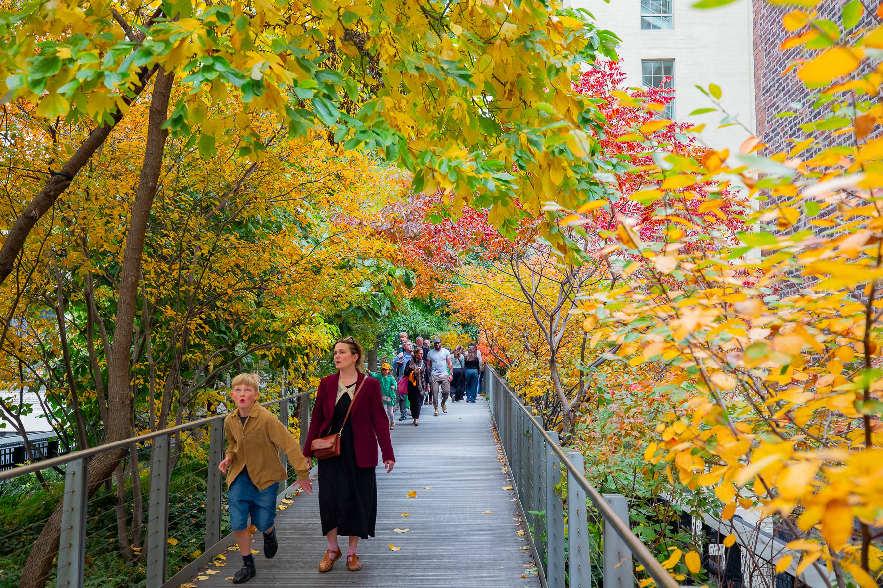 People walk along the High Line elevated park surrounded by fall foliage.