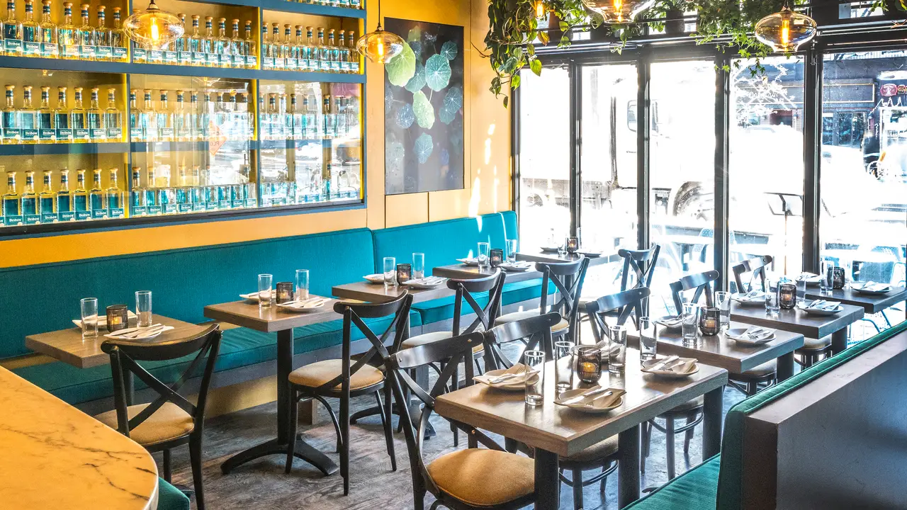 Bar Verde