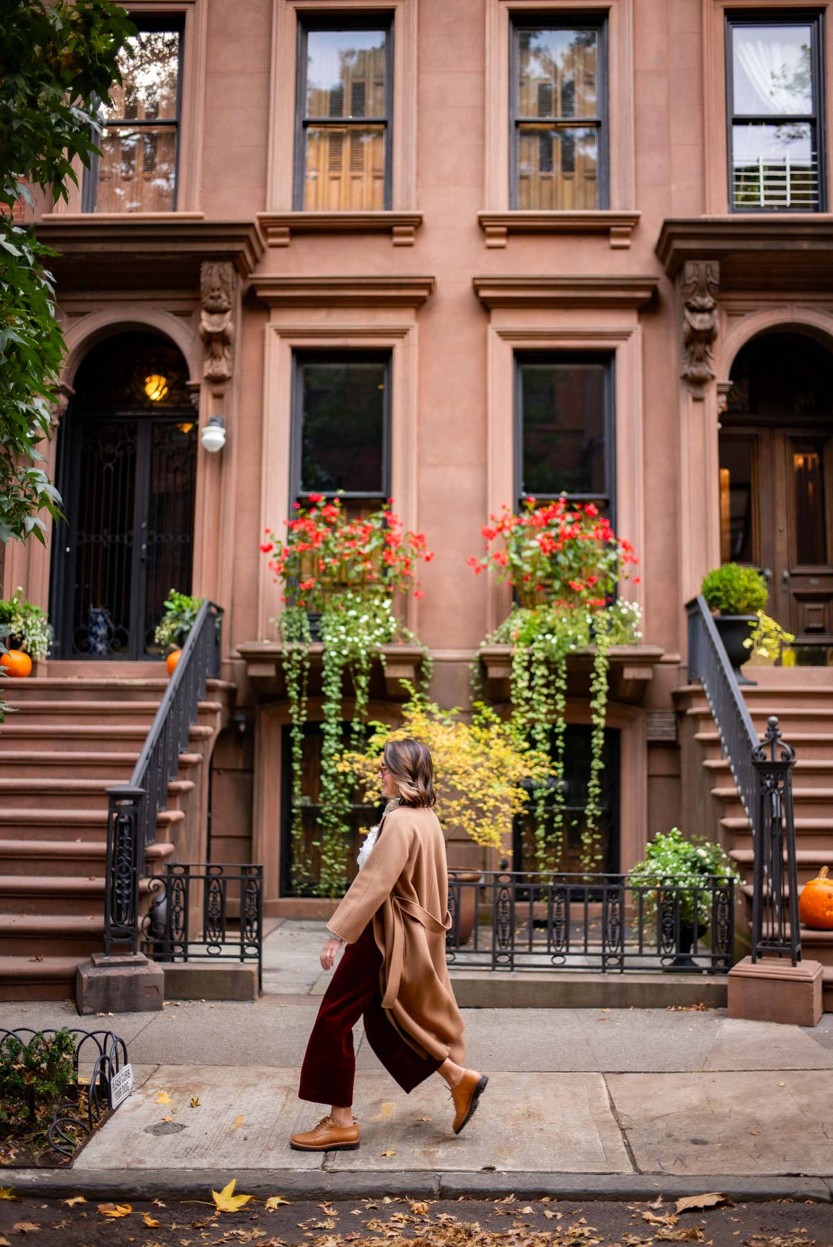 Neighborhood/Stoops