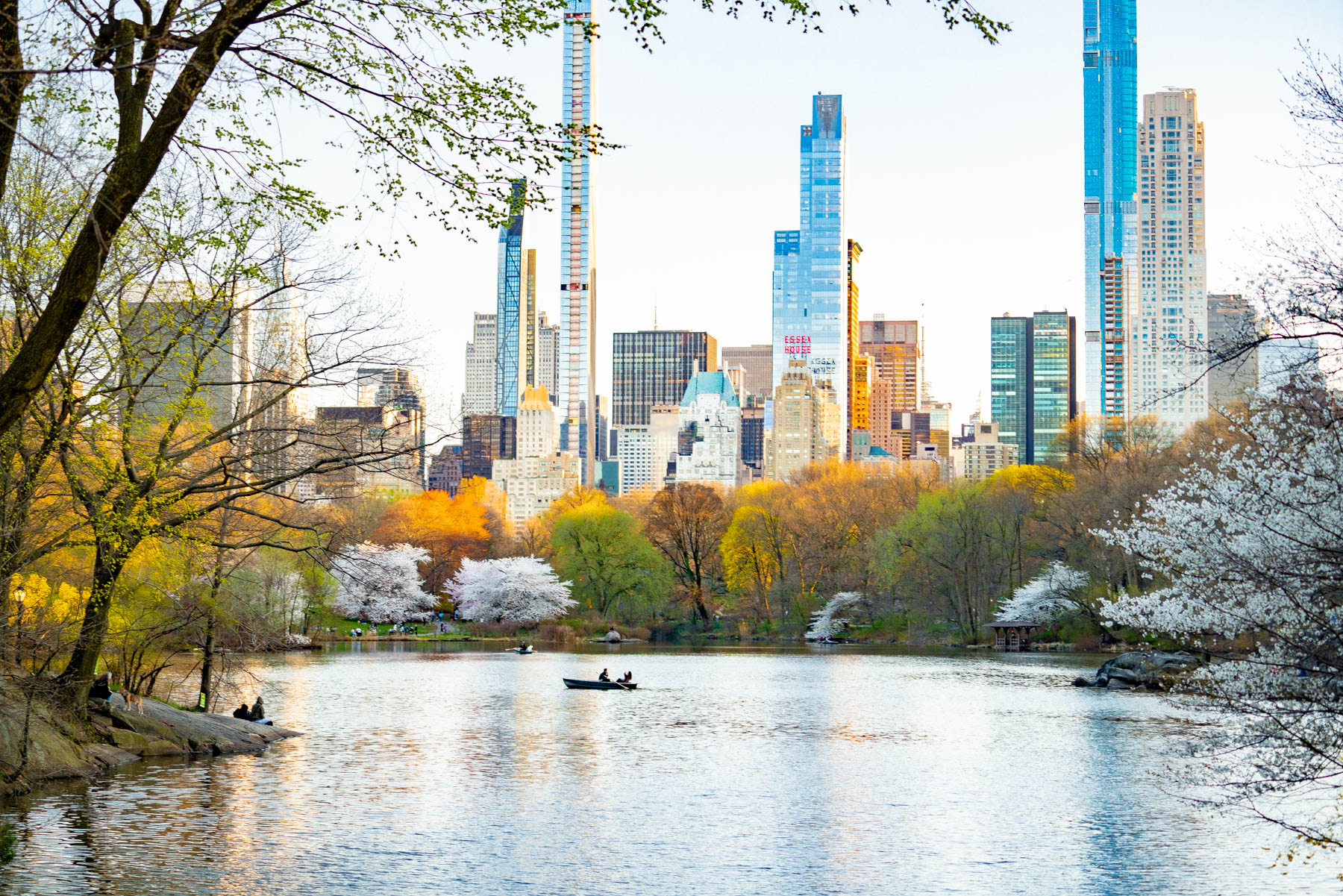 Central Park