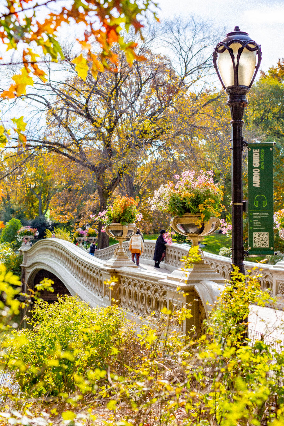 The Bow Bridge in Central Park