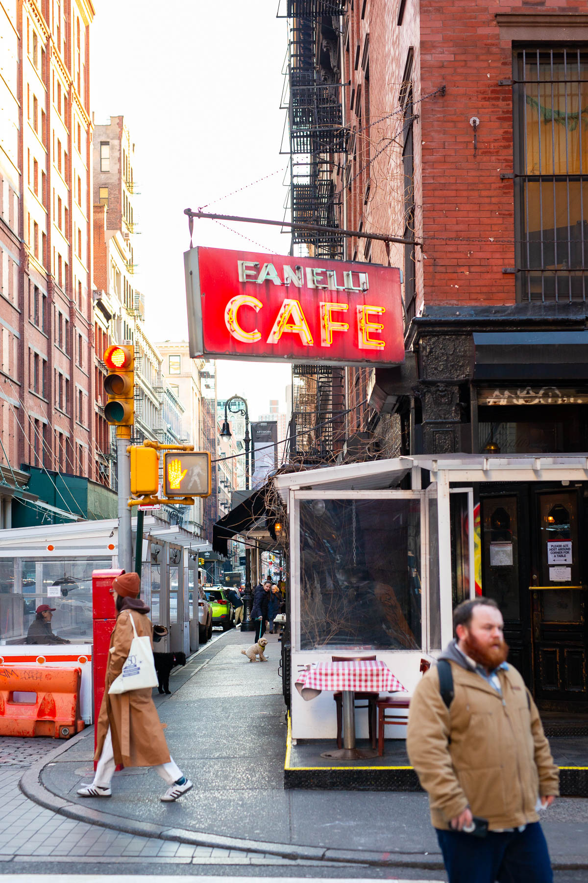 Fanelli Cafe