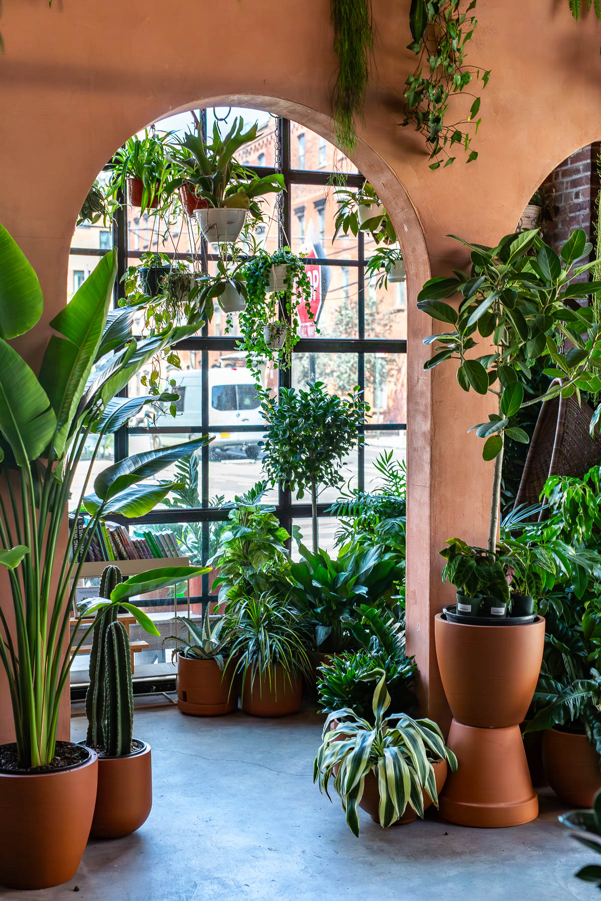 An interior plant shop with terracotta arches filled with potted plants and a street view through a large window.