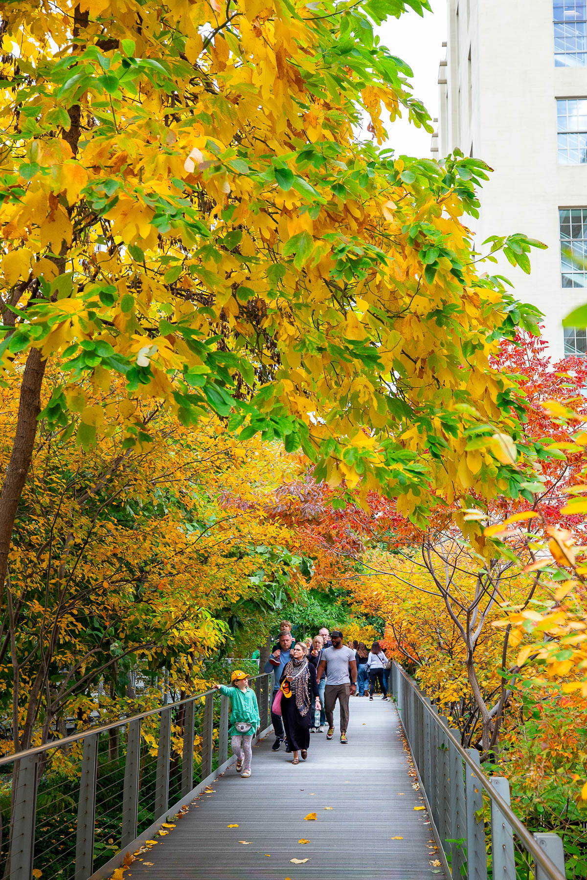 People walk along the High Line elevated park lined with fall foliage.