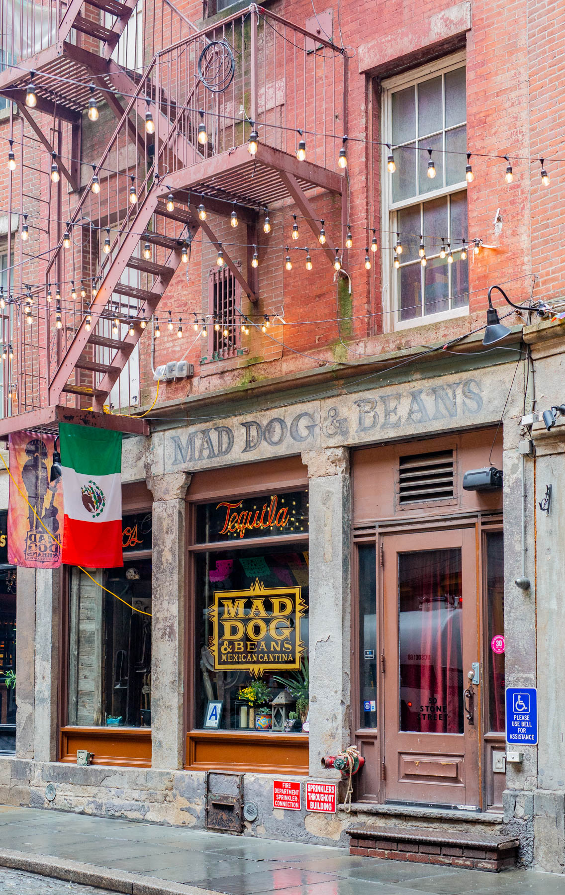 Mad Dog & Beans Mexican Cantina