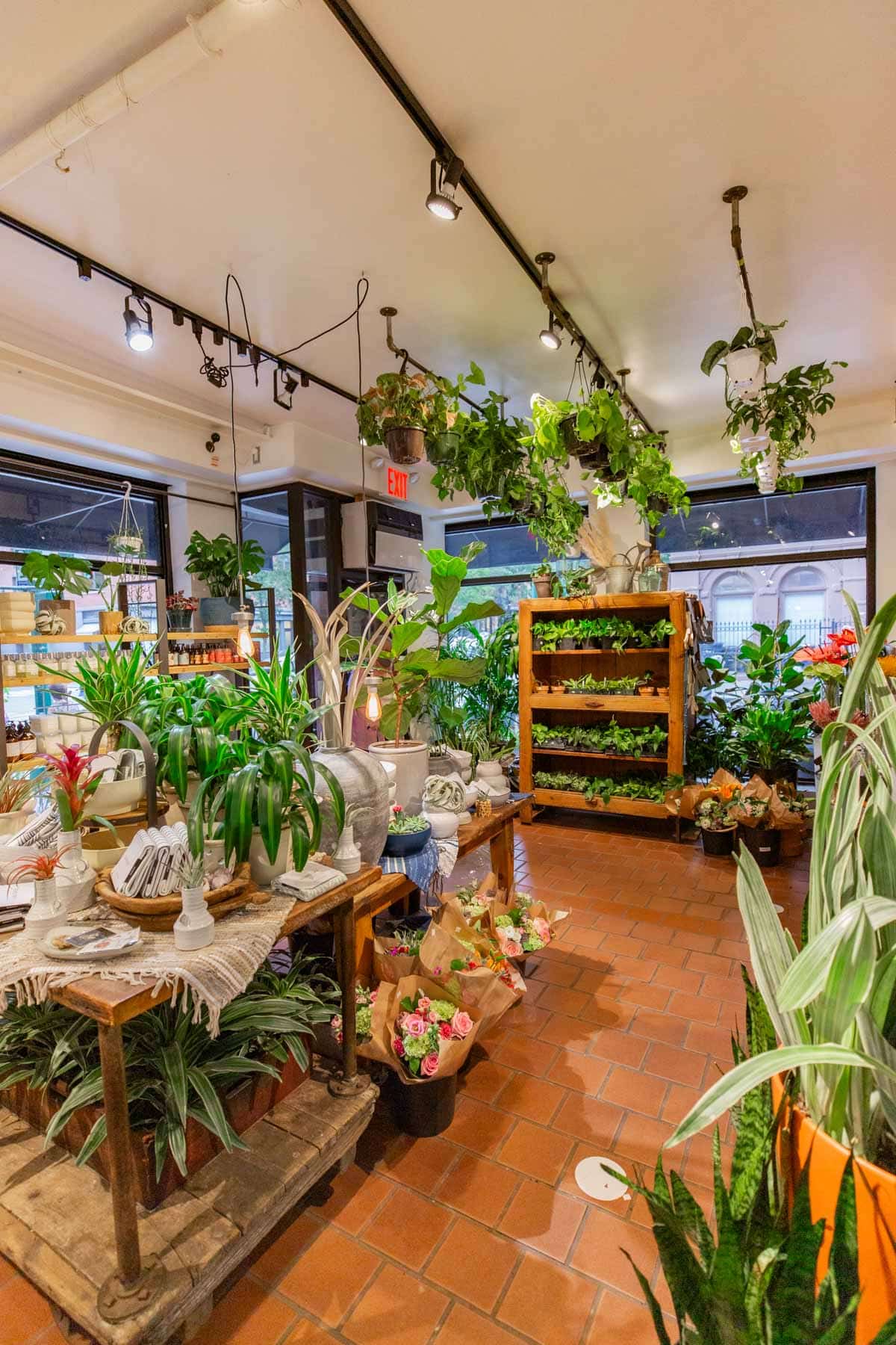PlantShed Cafe