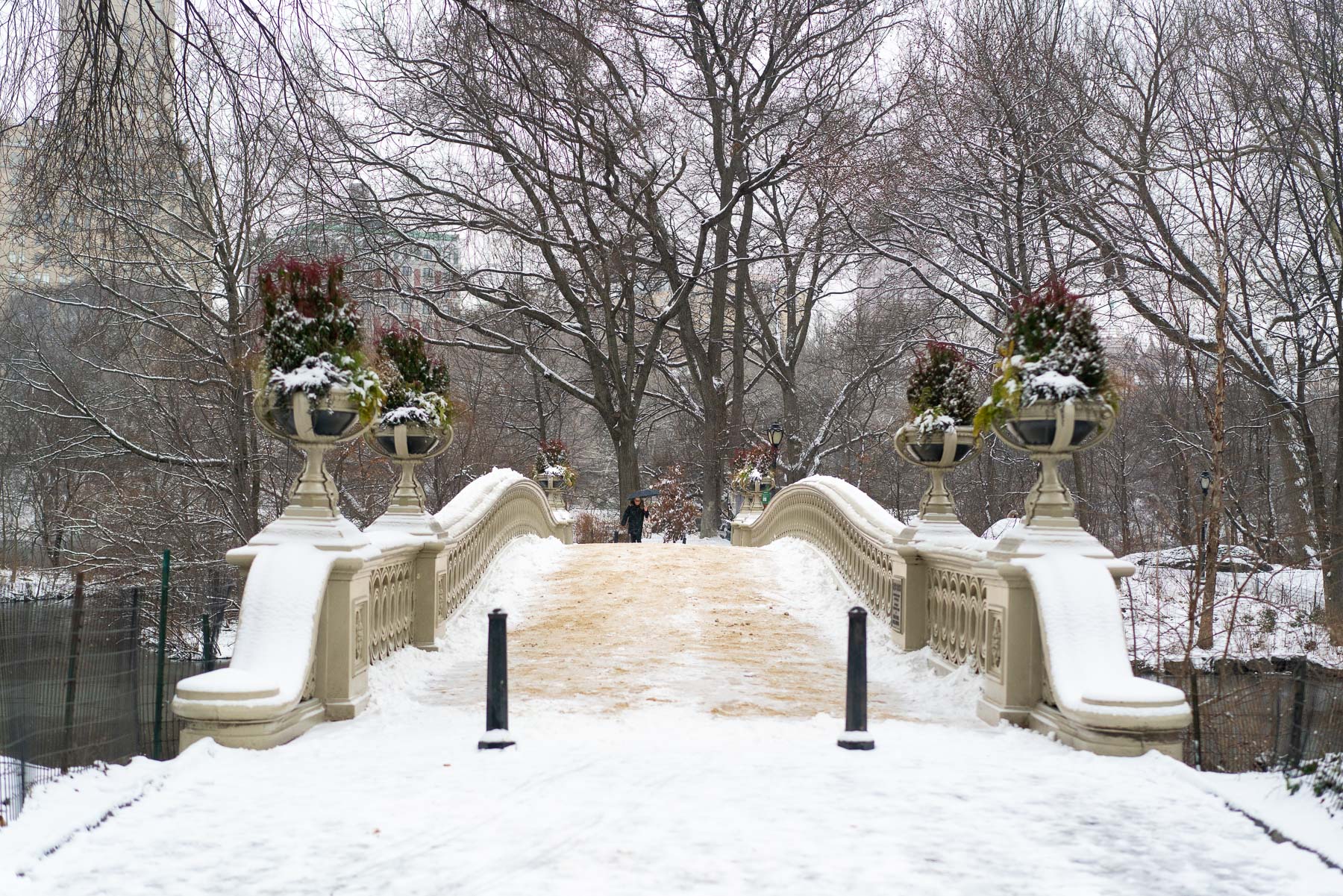 Snow covers Bow Bridge and the surrounding trees in Central Park.