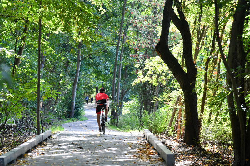 Van Cortlandt Park