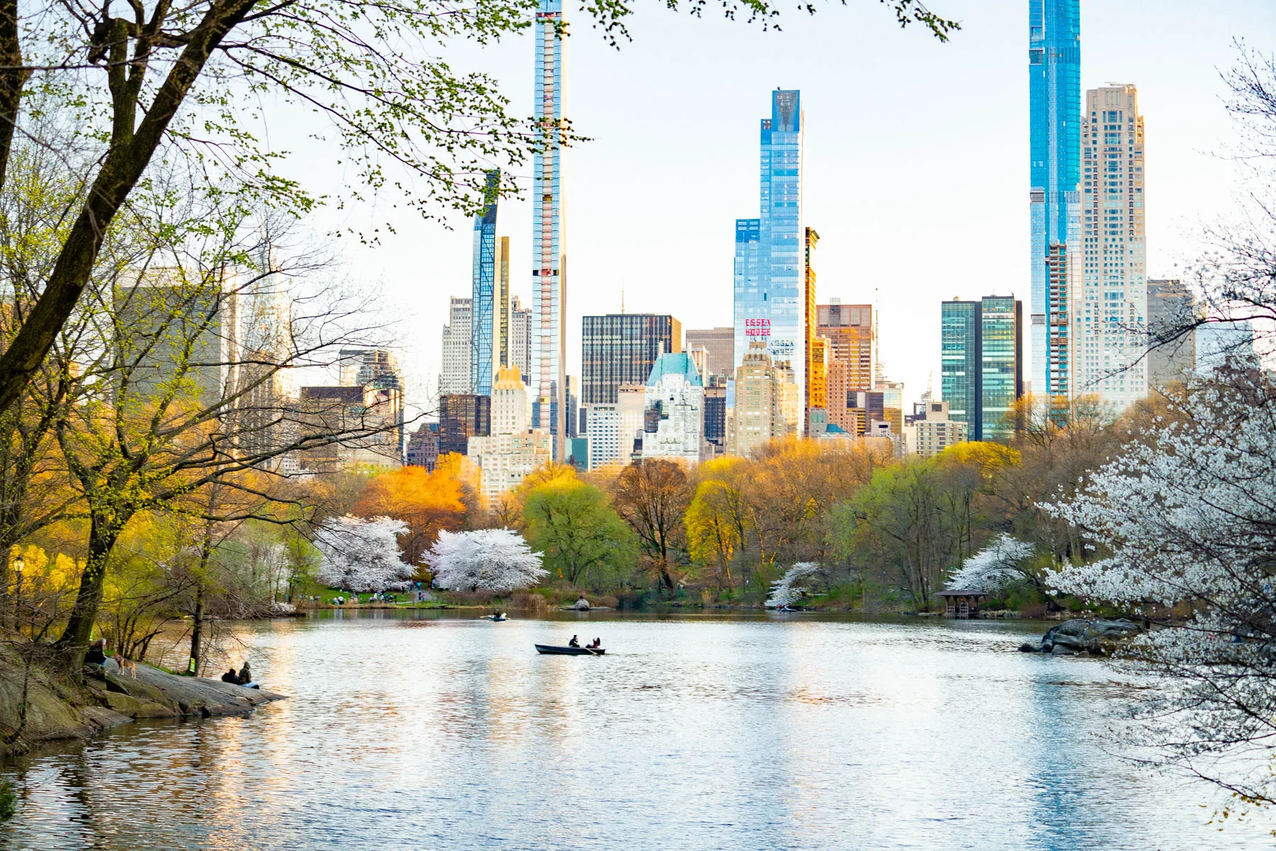 A view across The Lake in Central Park toward the Billionaires' Row skyline with cherry blossoms in bloom.