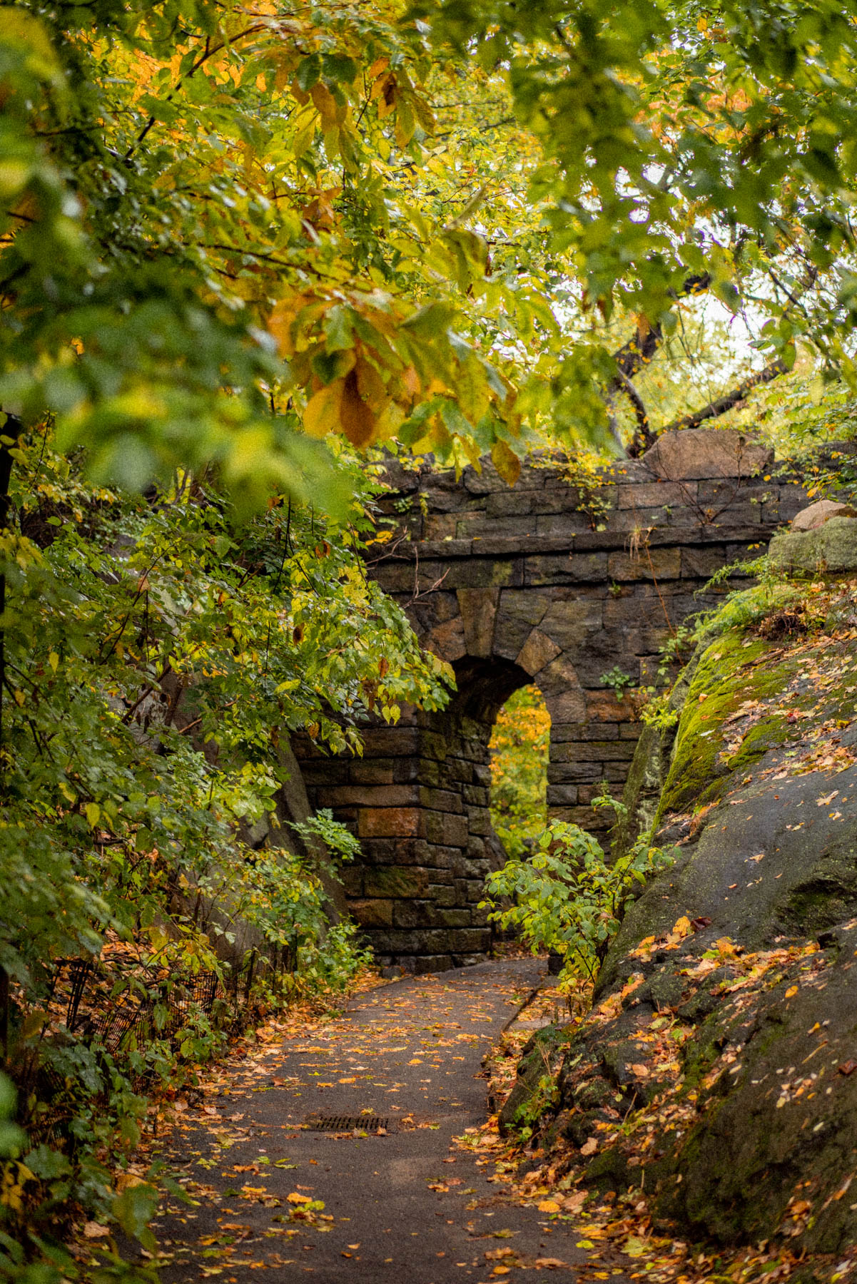 Gapstow Bridge