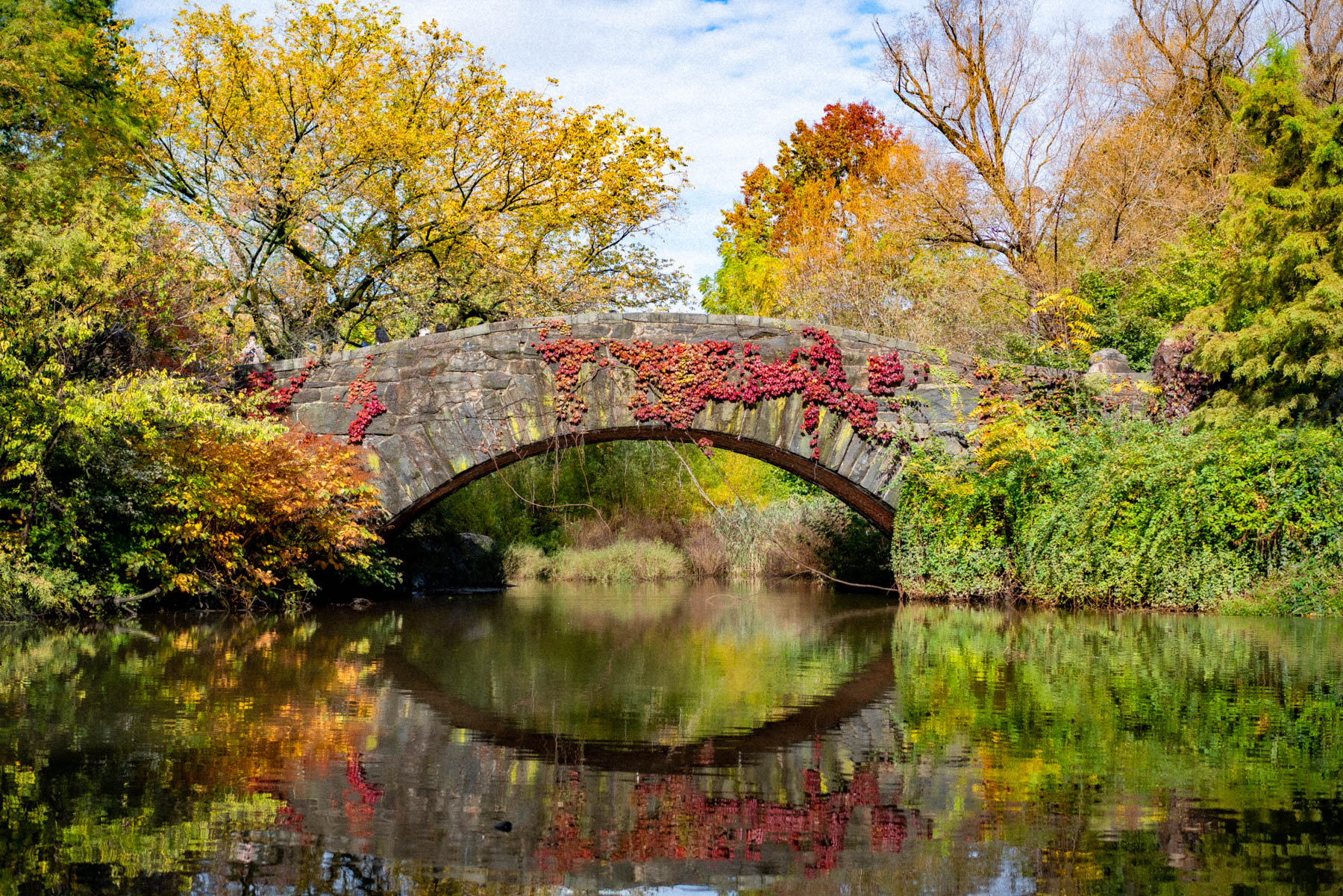 Gapstow Bridge