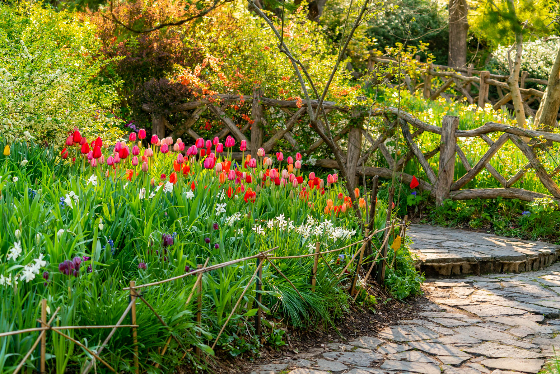 Shakespeare Garden