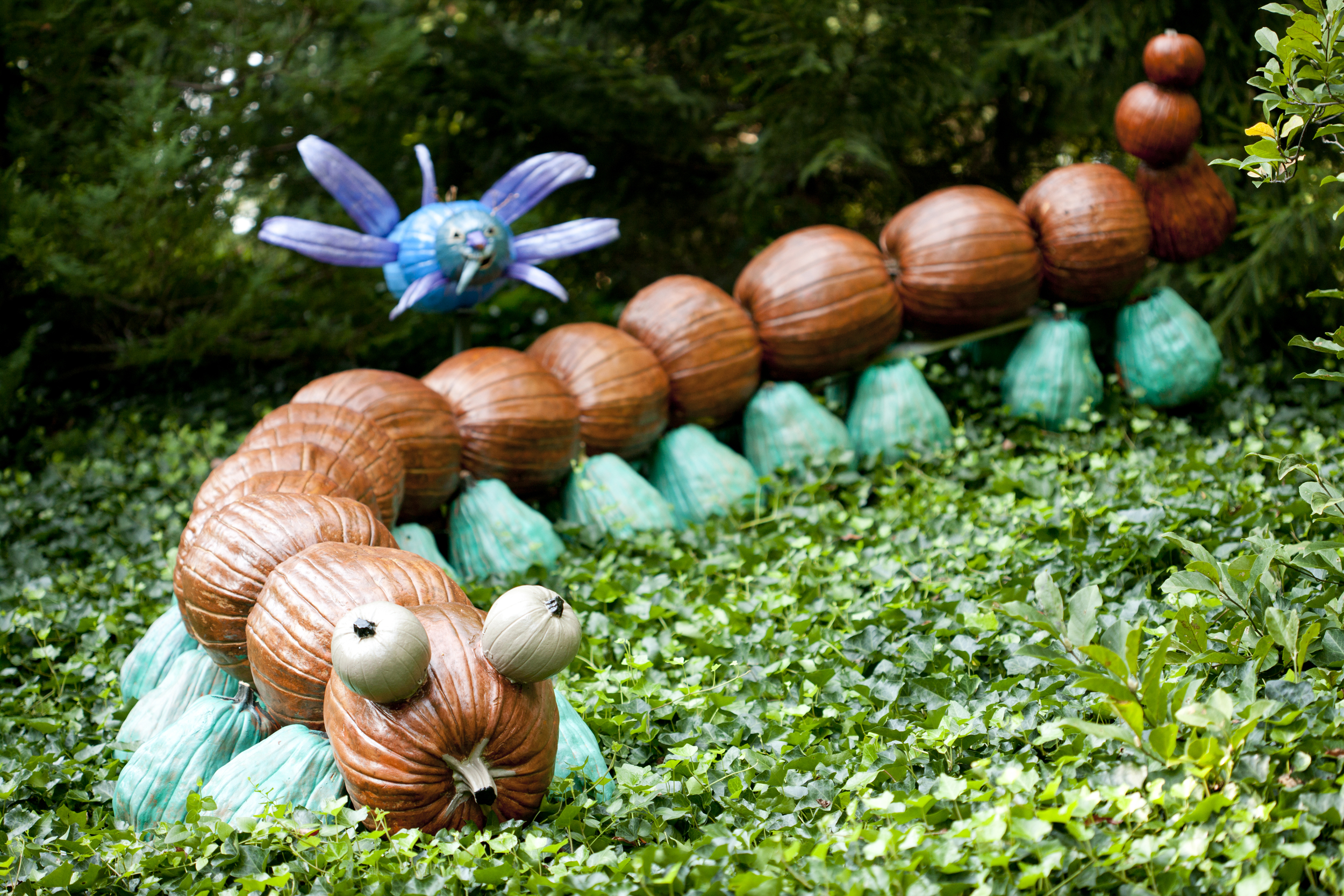 Everett Children’s Adventure Garden