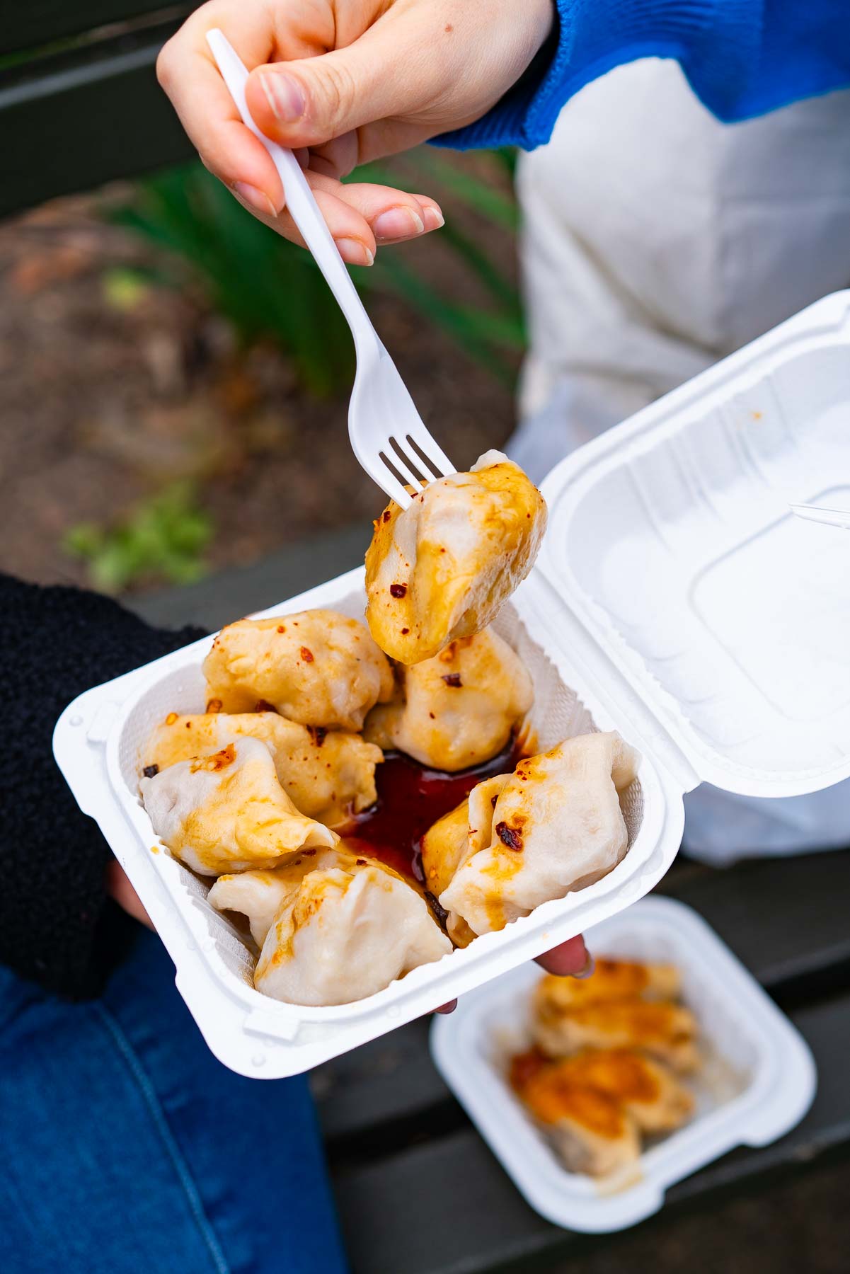 Tasty Dumpling
