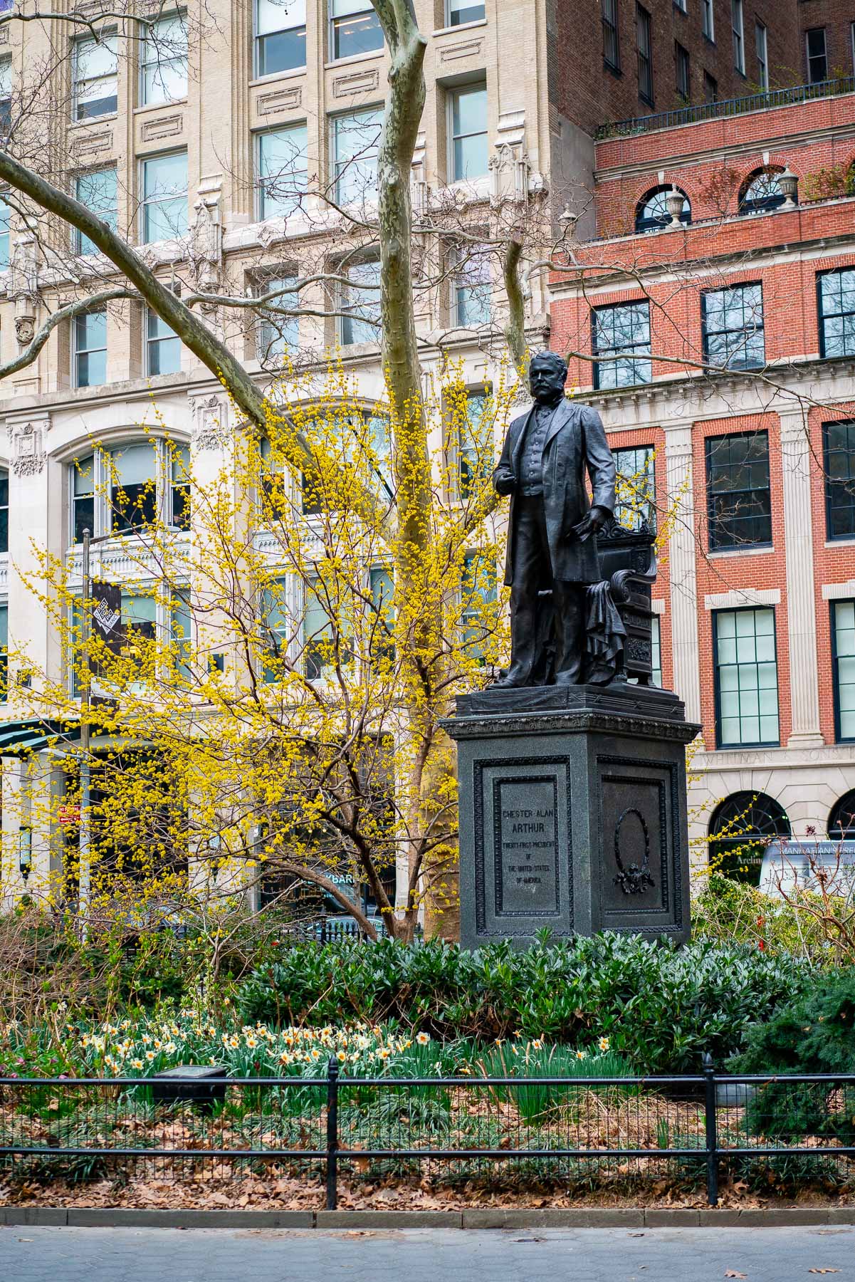 A statue of Chester Alan Arthur stands in Madison Square Park surrounded by blooming forsythia.