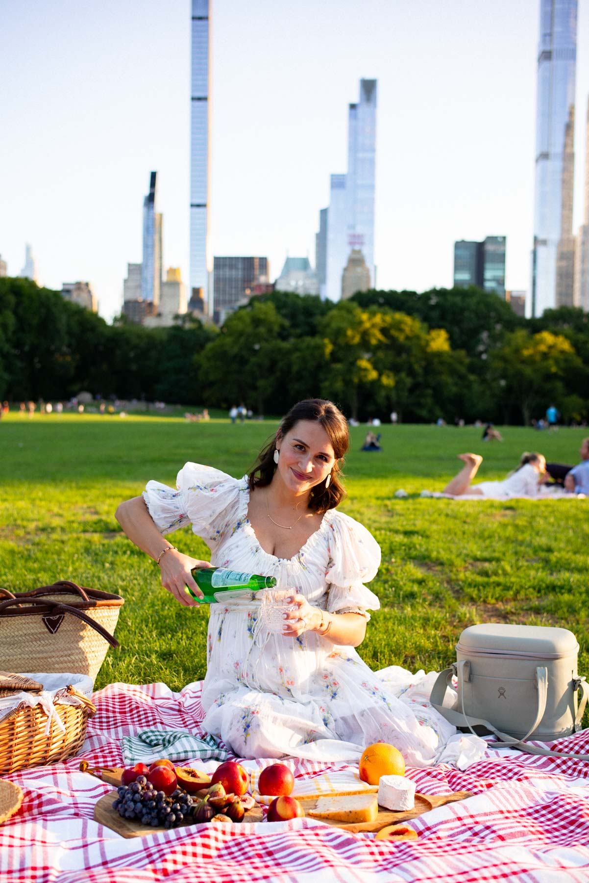 Picnic in Central Park Photo Shoot