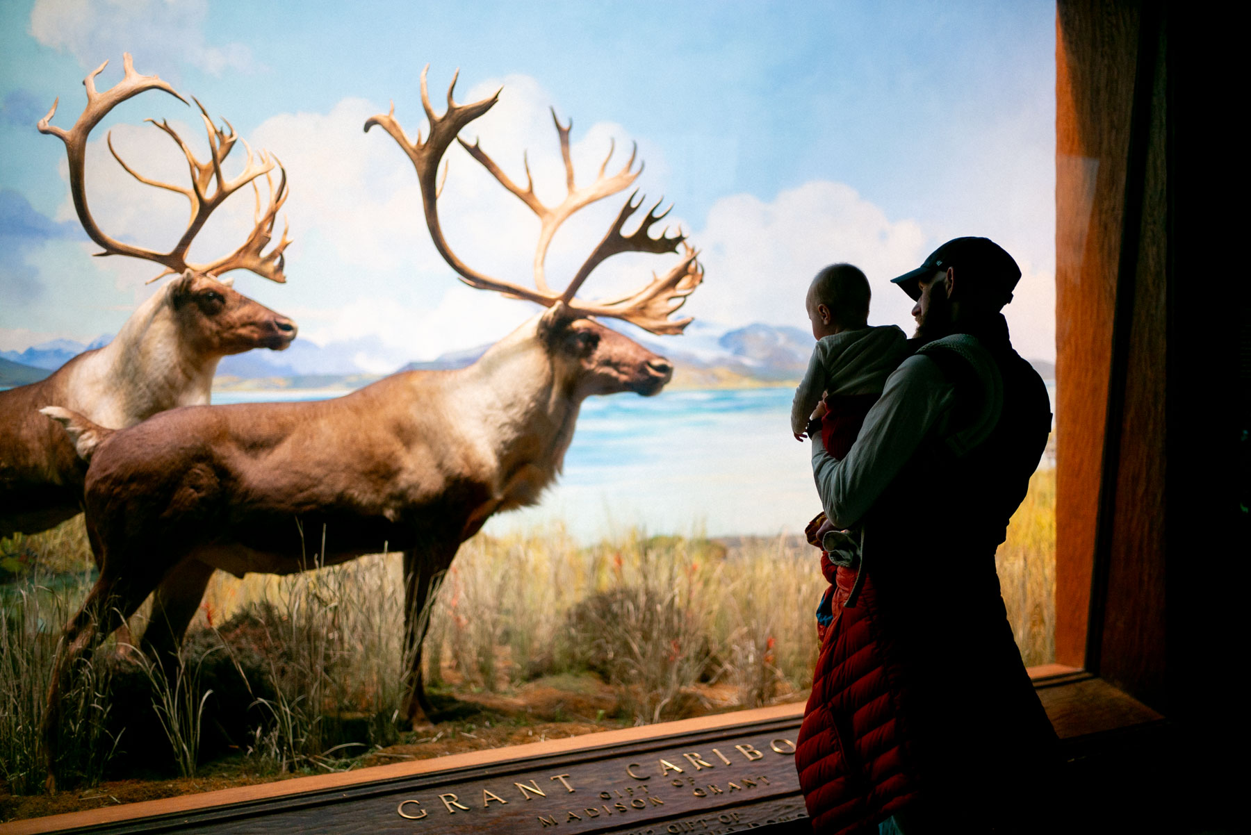 American Museum of Natural History