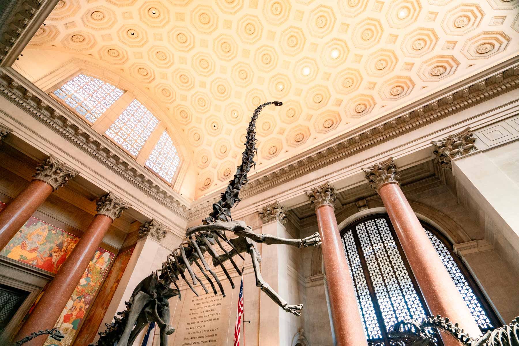 inside of the American Museum of Natural History in NYC