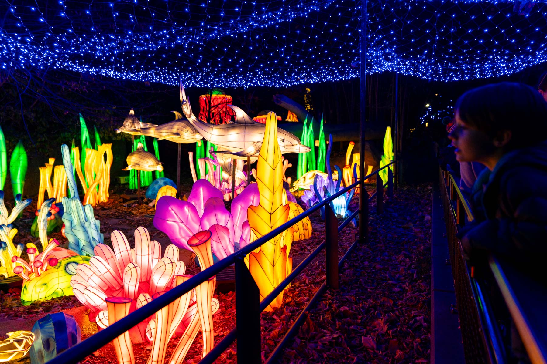 Bronx Zoo Holiday Lights