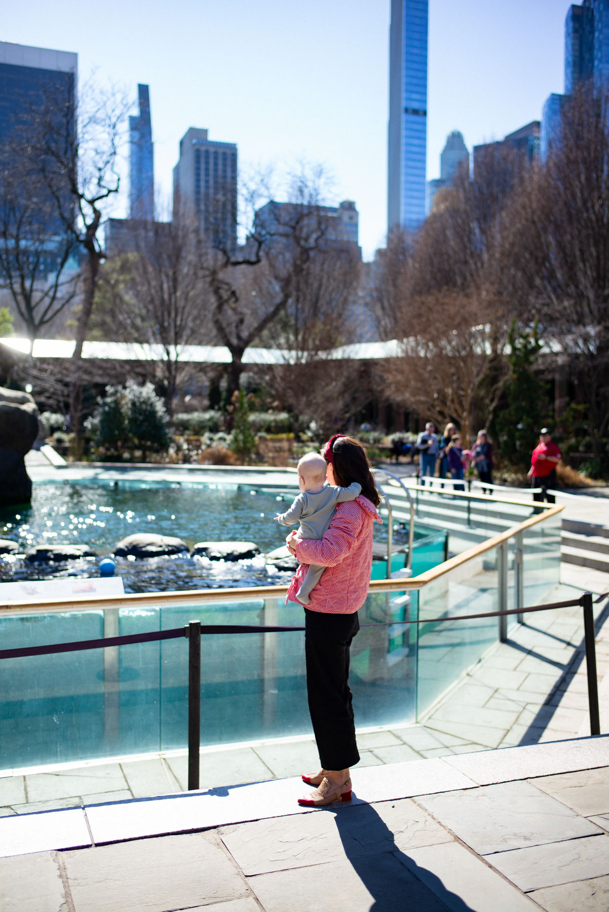 visiting Central Park Zoo with a baby