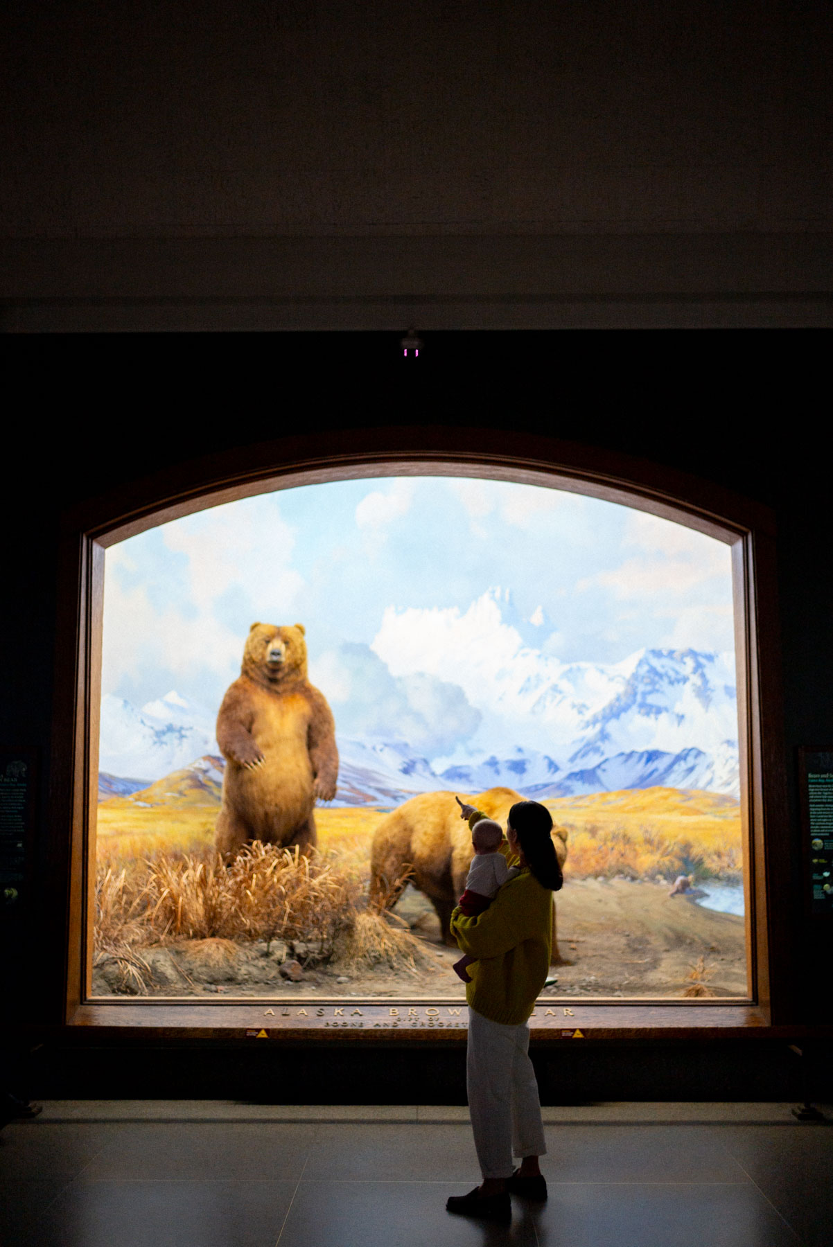 American Museum of Natural History