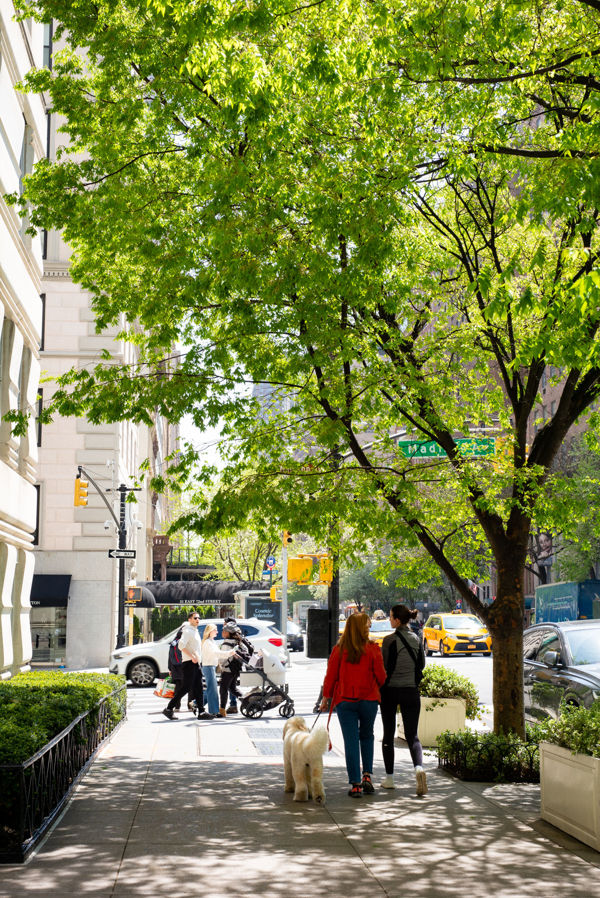 Upper East Side NYC Spring
