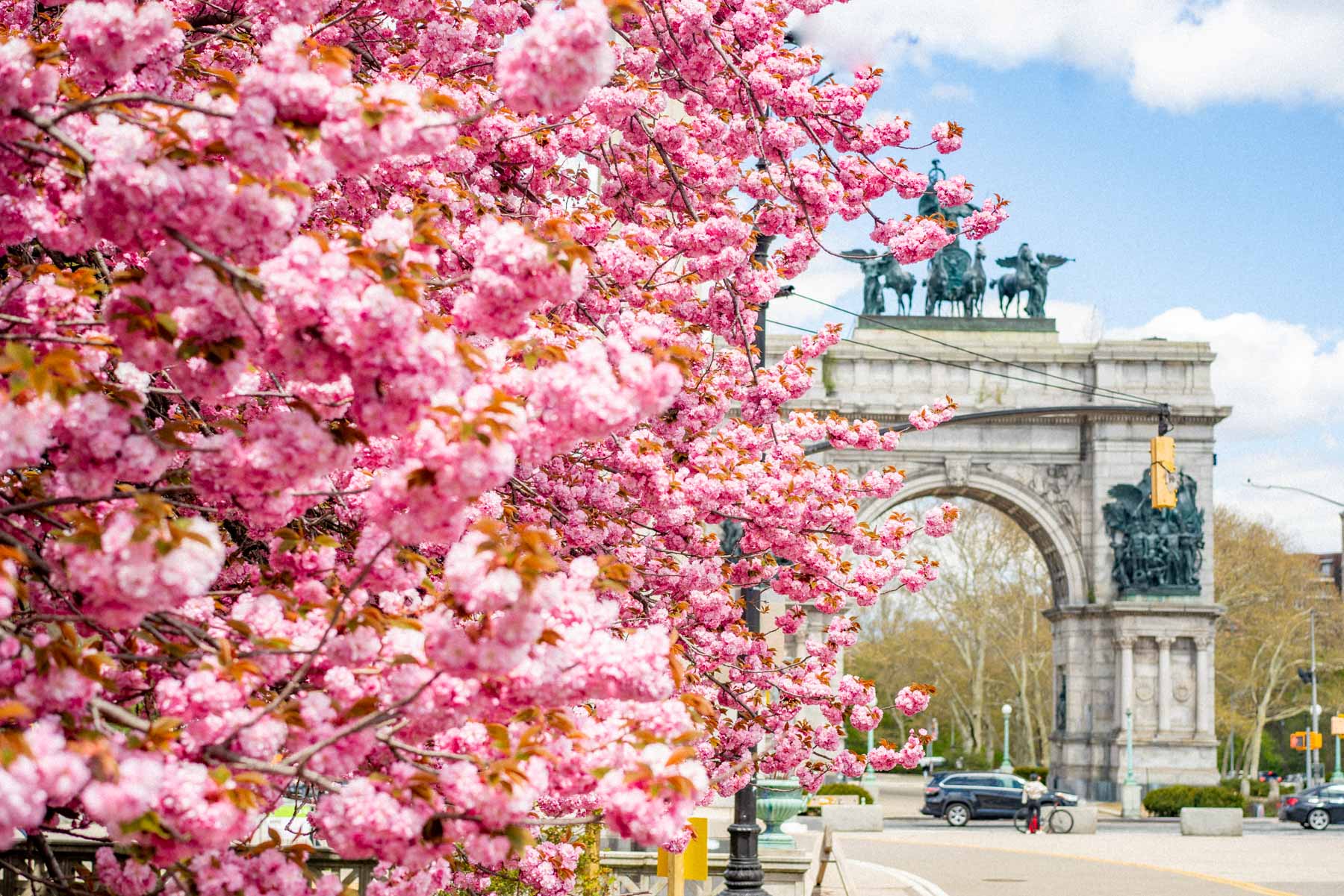 Spring blooms Prospect Park area