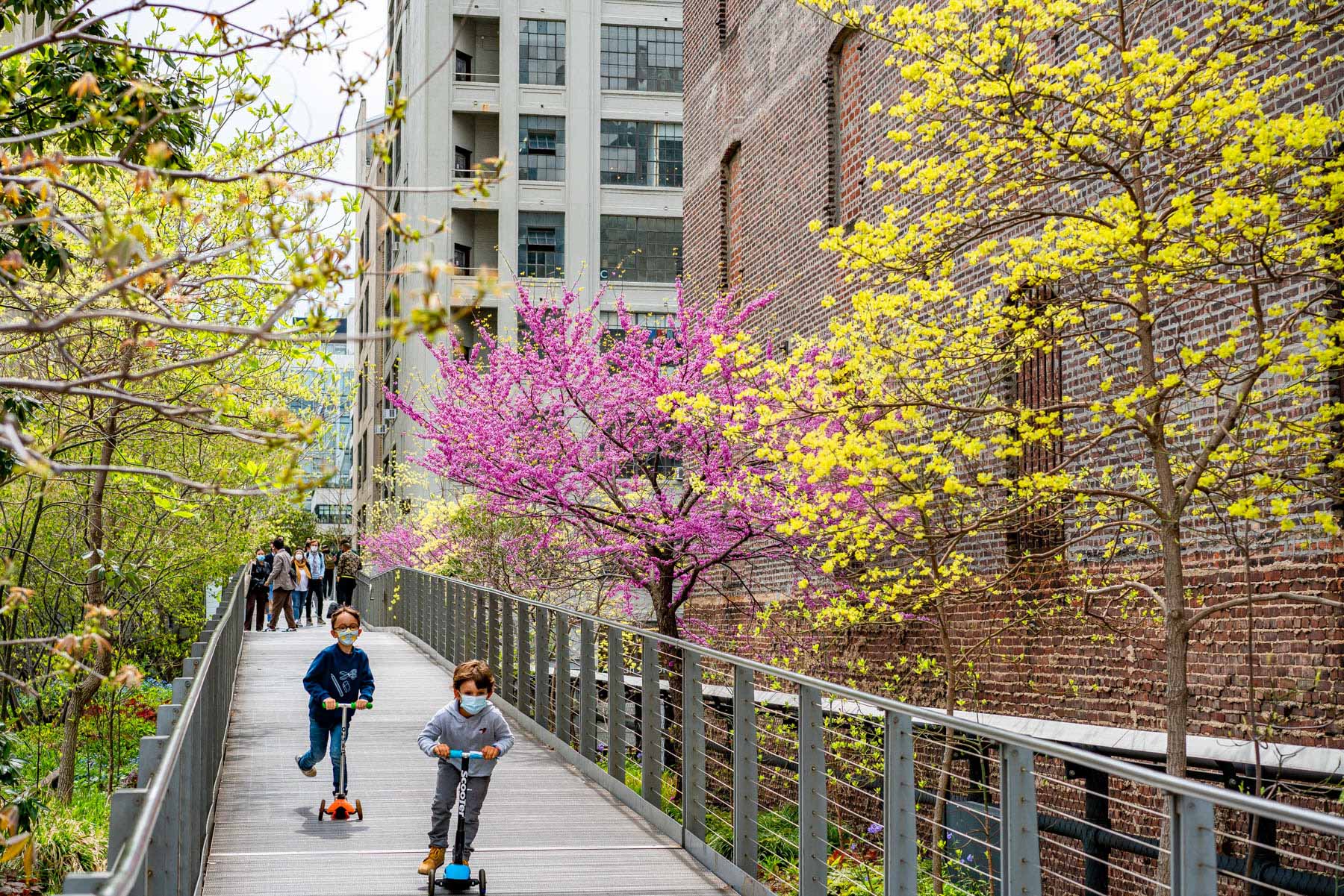 The High Line