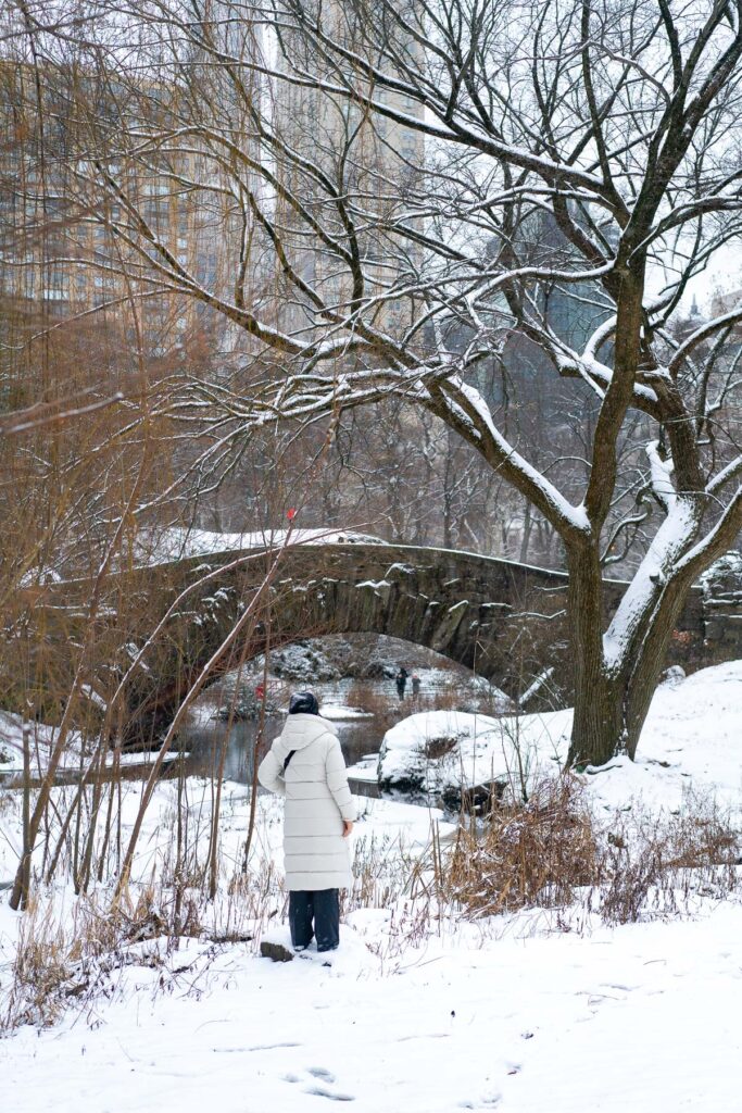 Fresh snow covering Central Park in winter 2024
