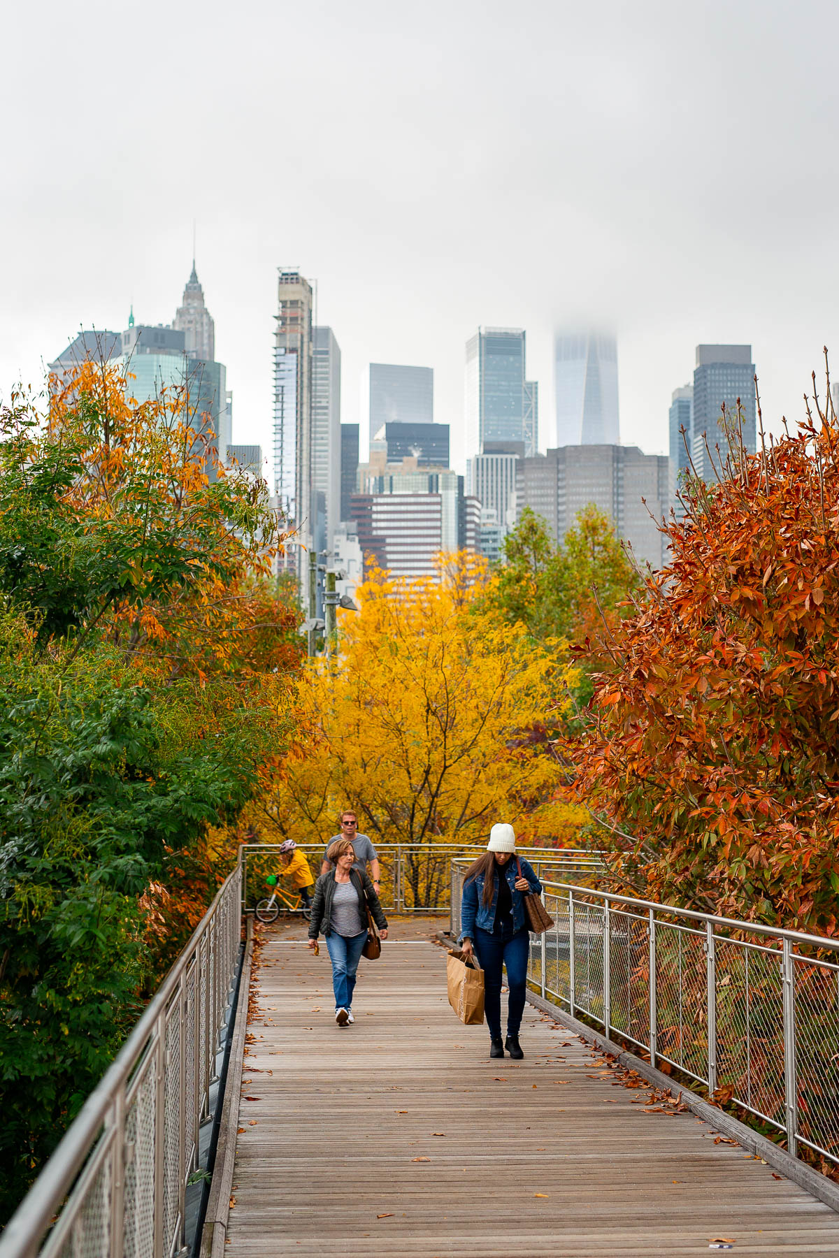 Brooklyn autumn