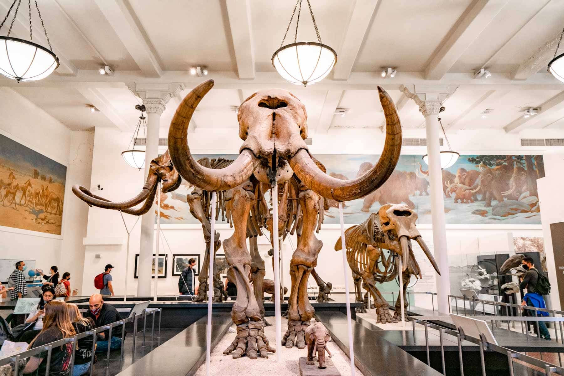 Inside the American Museum of Natural History on the Upper West Side
