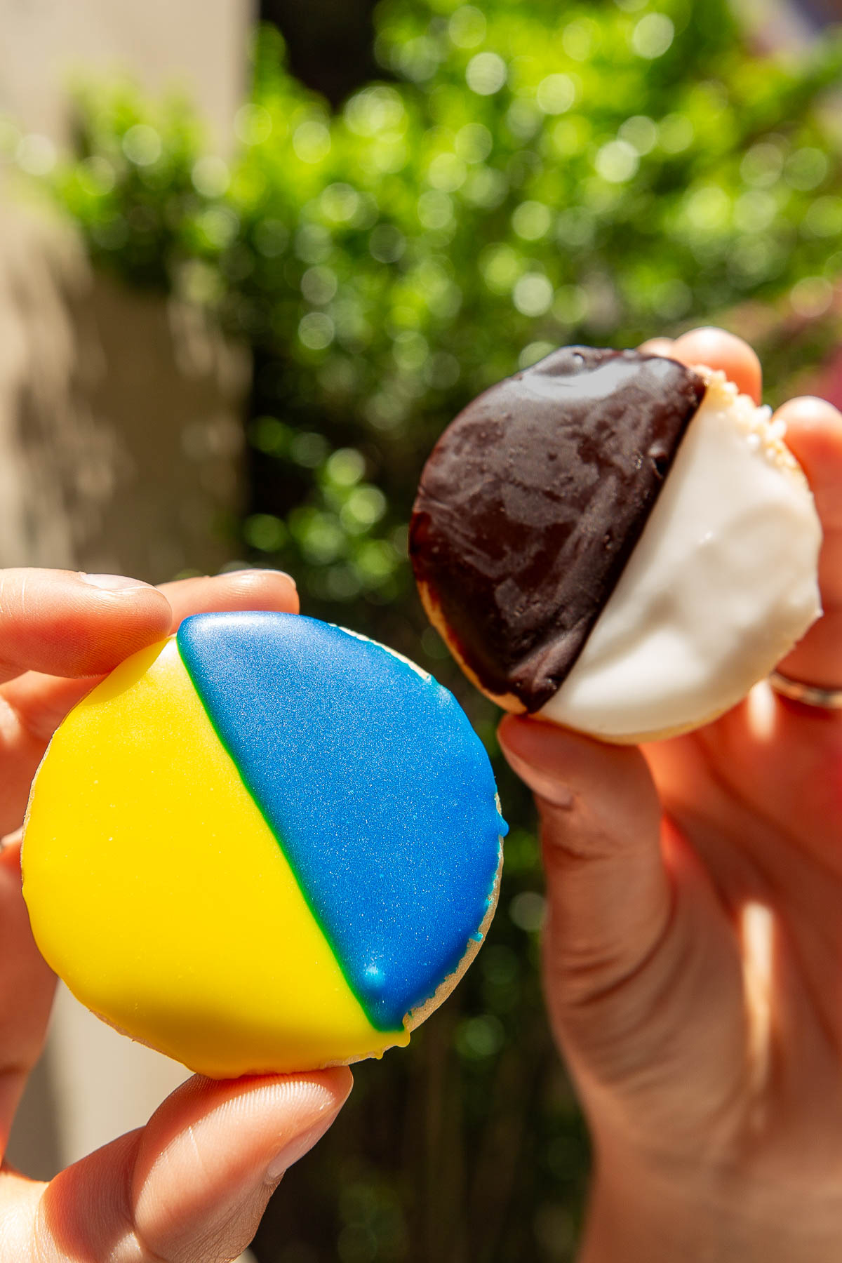 A black-and-white cookie from William Greenberg Desserts on the Upper East Side